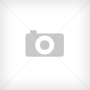 Lily-Rose Depp incendiaire : micro-jupe et crinière de lionne pour un shooting sexy